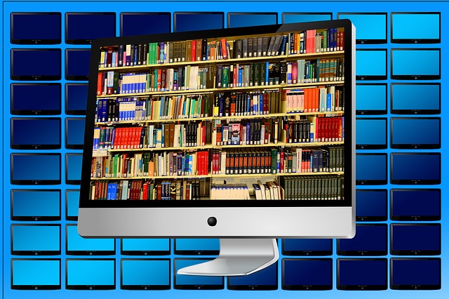 Les bibliothèques en ligne