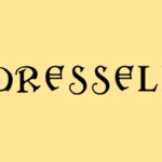 Audresselles départ du challenge